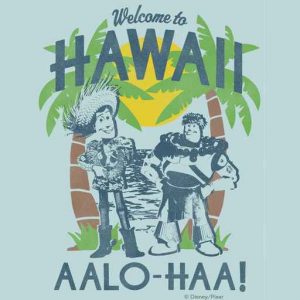 Woody and Buzz - Welcome To Hawaii