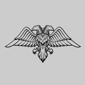Gray Eagle with two Heads